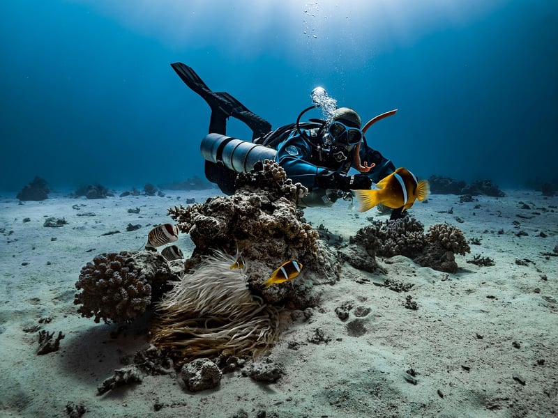 Underwater Adventure